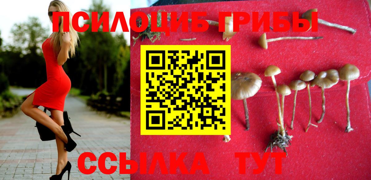 Галлюциногенные грибы MAGIC MUSHROOMS  Вход с VPN  Киров 